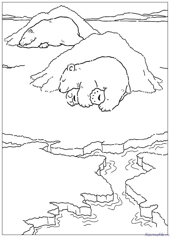 Раскраска, разукрашка, раскраски на тему "Приключения белого медвежонка Ларса"