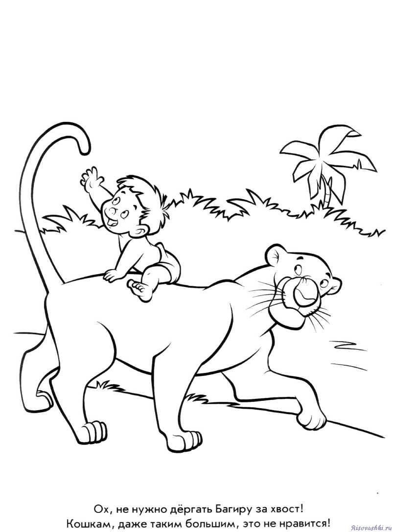 Рисунок маугли 3 класс. Маугли раскраска. Раскраска Маугли Багира. Маугли раскраска для детей. Раскраска. Книга джунглей.
